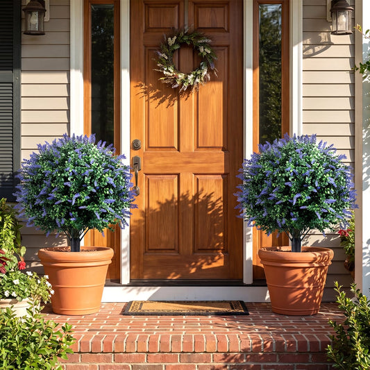 Two artificial lavender boxwood topiary ball trees in terracotta pots by a front door