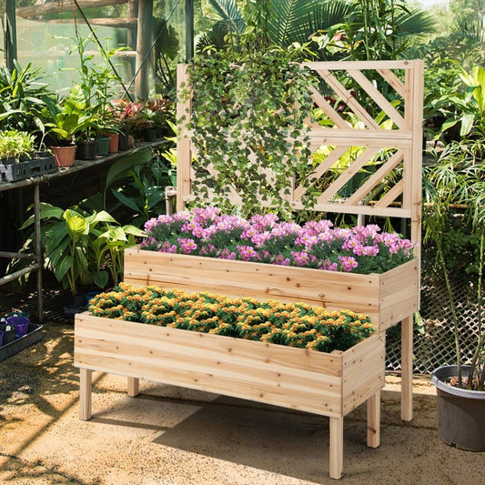 The raised garden bed with trellis in a greenhouse setting with climbing plants
