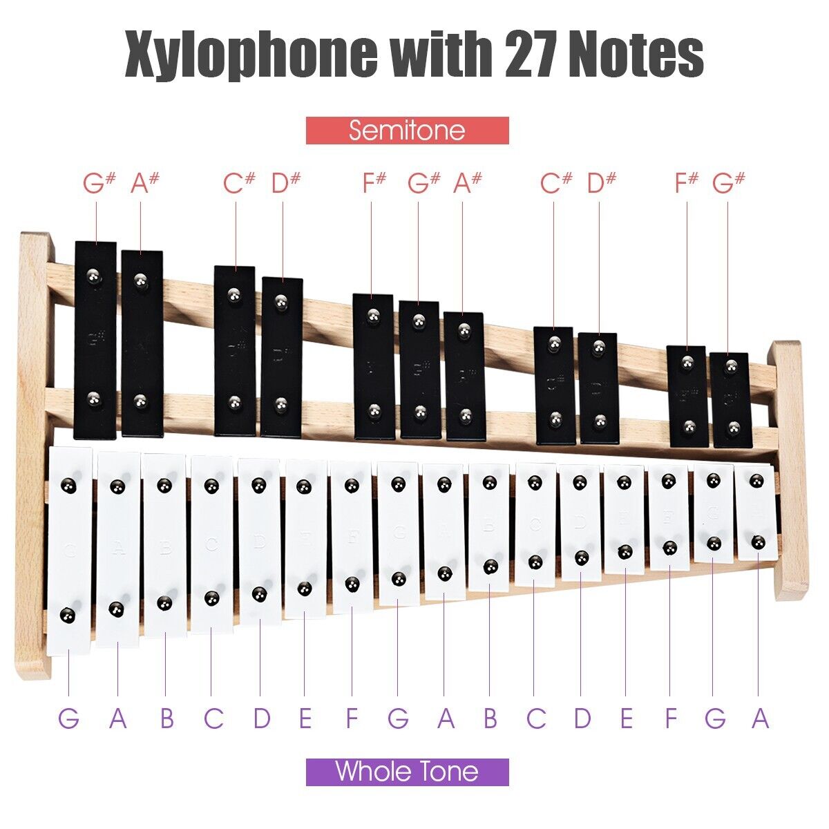 27 Notes Full Size Glockenspiel Xylophone with Carrying Bag [Best Seller in the US]