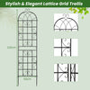 2 Pack 220 x 50 cm Metal Garden Trellis for Climbing Plants-Black