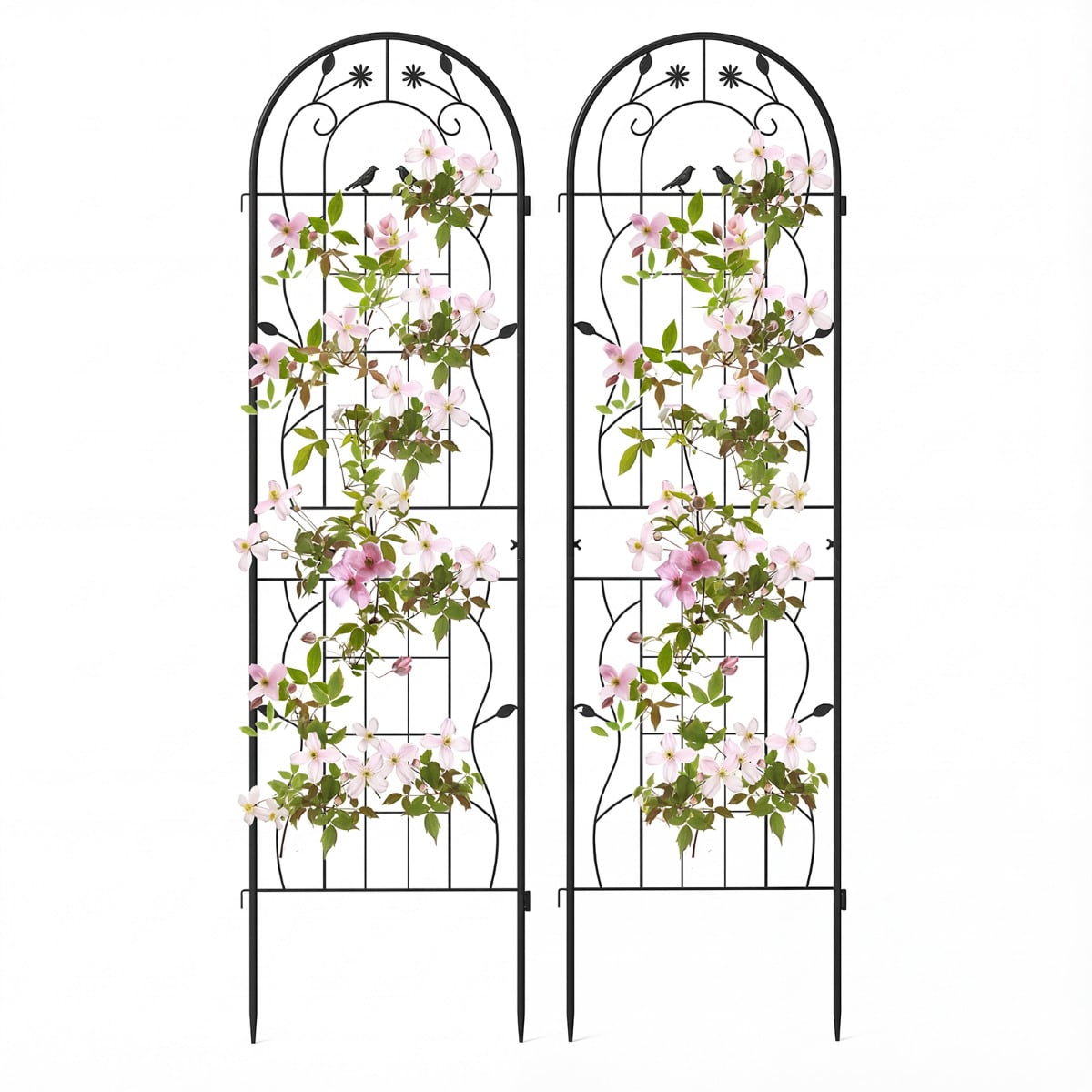 2 Pack Metal Garden Trellis for Climbing Plants-Black