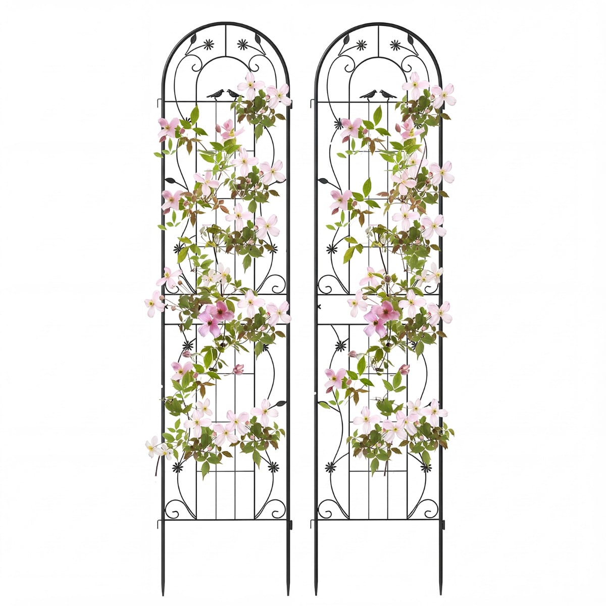 2 Pack Metal Garden Trellis for Climbing Plants Vegetables and Roses-Black