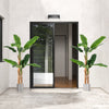 2 Pack 165cm Tall Artificial Banana Tree with 10 Large Leaves