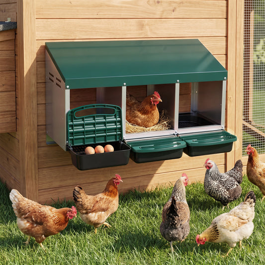 The chicken coop mounted on a wooden wall with hens foraging in the grass below