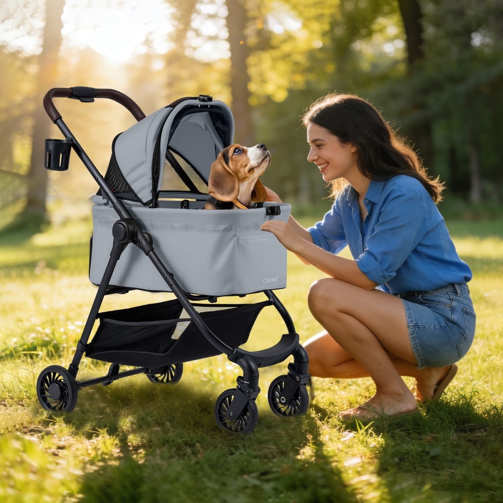 A woman crouches down to interact with a beagle puppy in a grey dog stroller outdoors