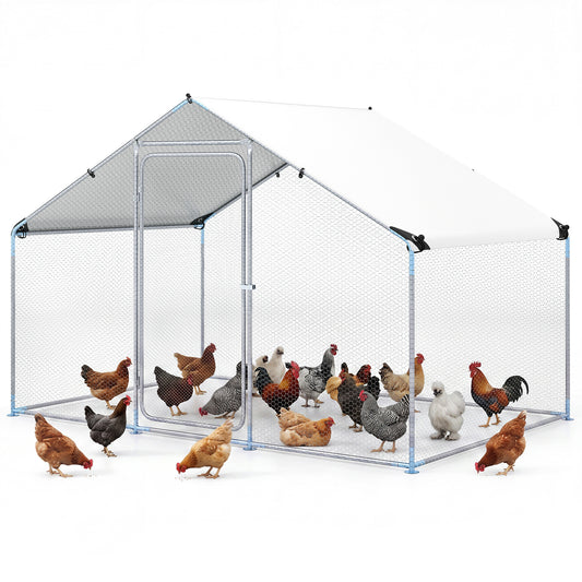 Walk-in Chicken Run with Waterproof Cover for Backyard showing multiple chickens inside and around the enclosure