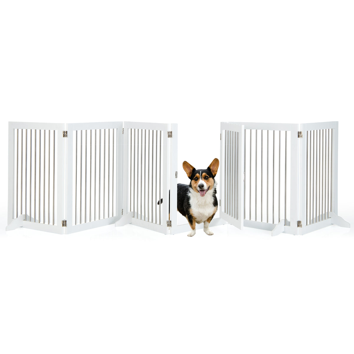 A small dog stands in front of the open door of the white wooden pet gate