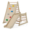 3-In-1 Jungle Gym with Extended Slide and Rock Climbing-Natural