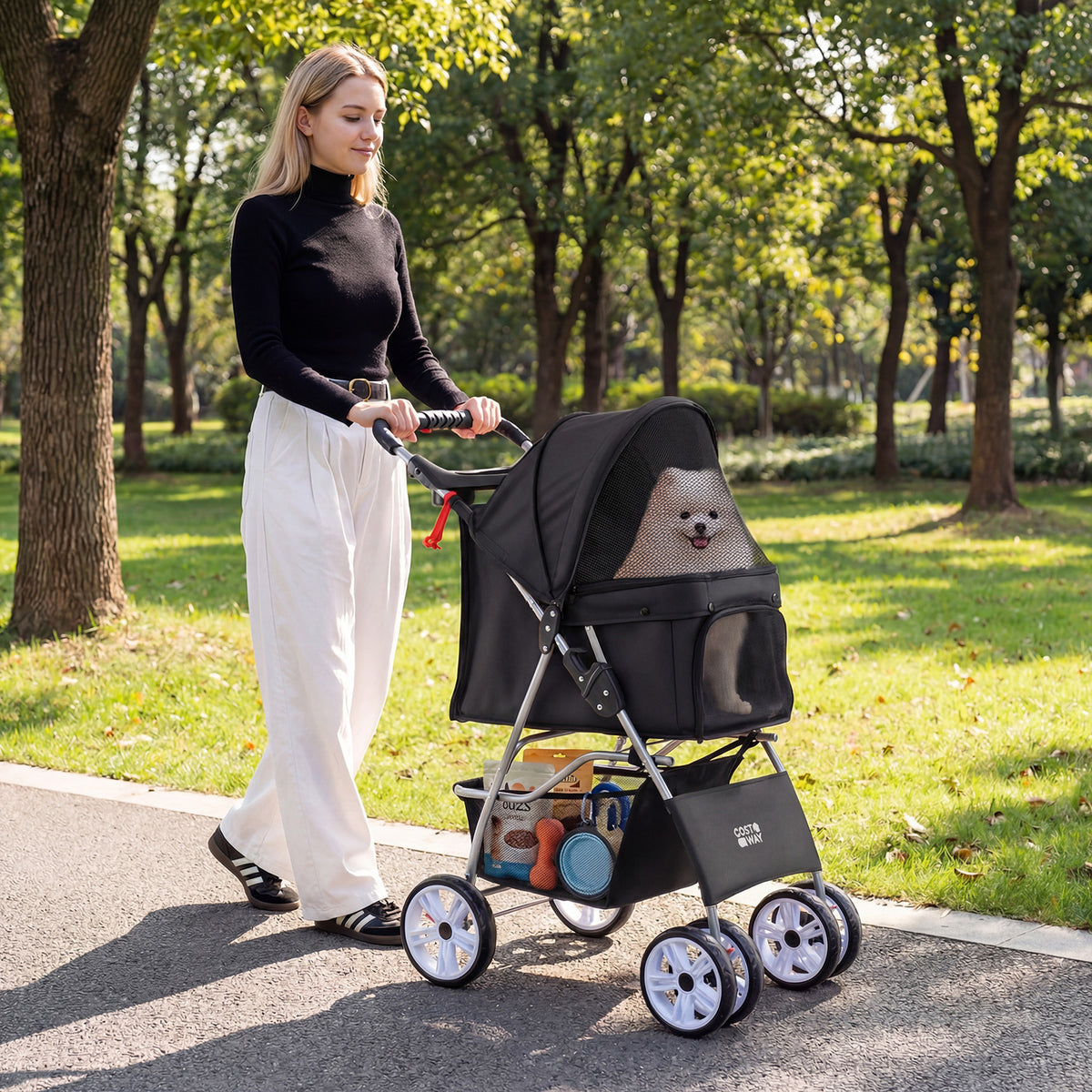 The dog stroller being pushed by a woman along a sunny park path with a small dog inside