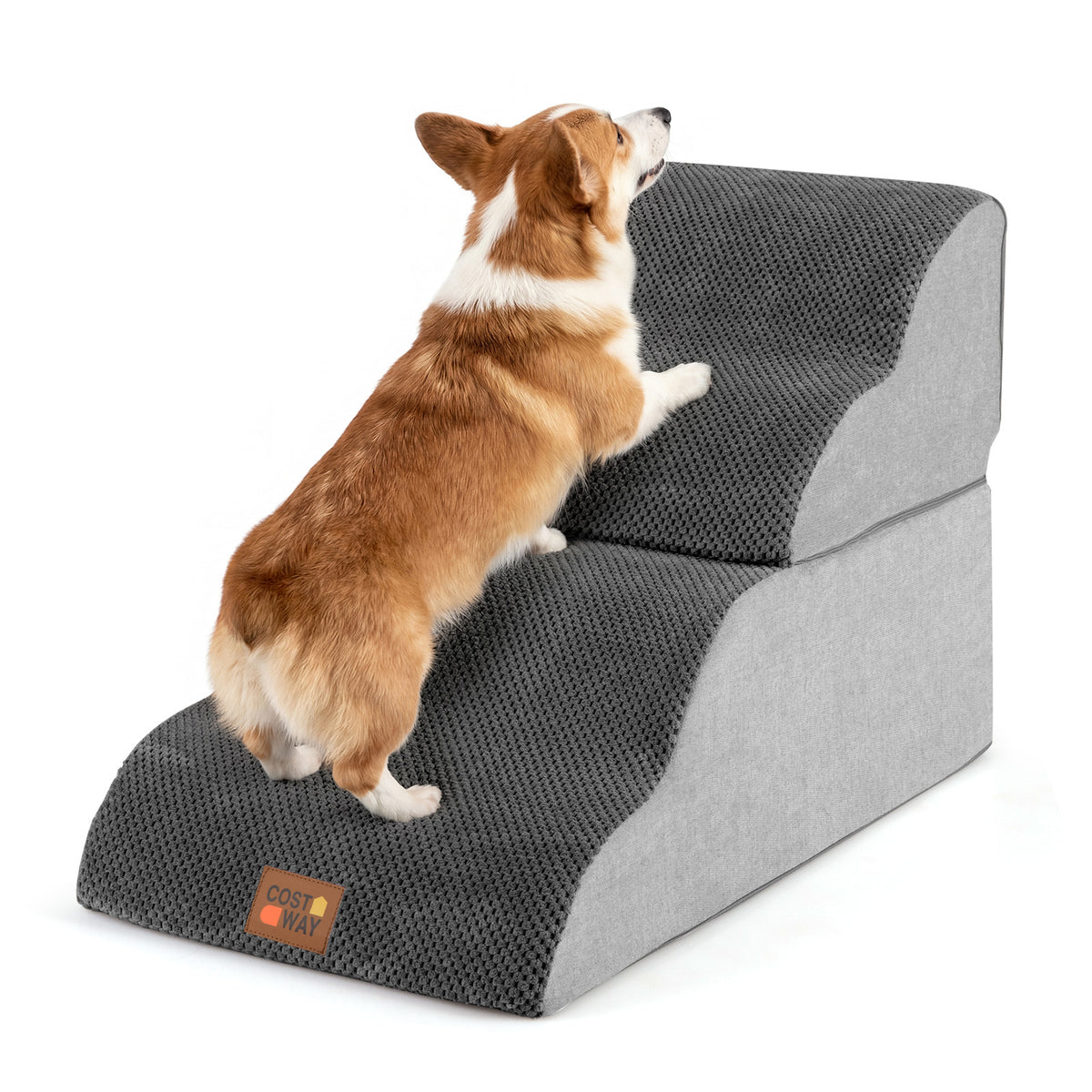 Close up of the dog foam stairs with a dog climbing