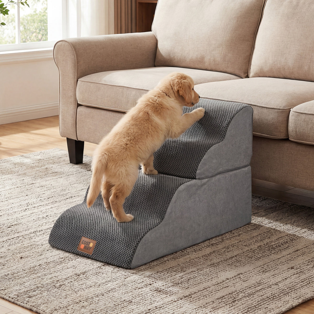A puppy climbs the dog foam stairs to reach a sofa