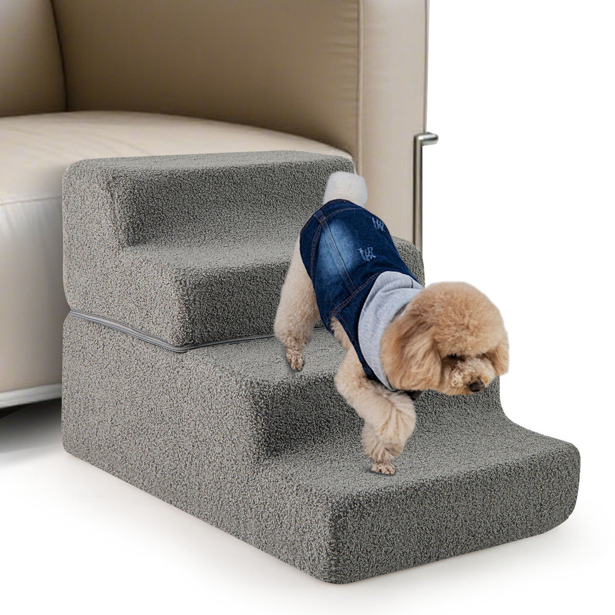 Small dog wearing a denim jacket walking down the grey foam dog steps next to a sofa