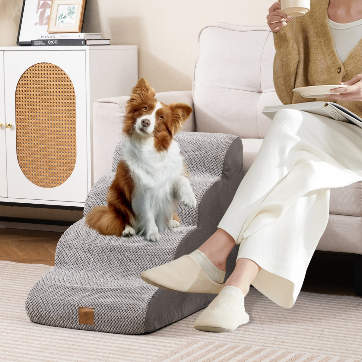 The dog ramp with a dog sitting on it next to a sofa and a person