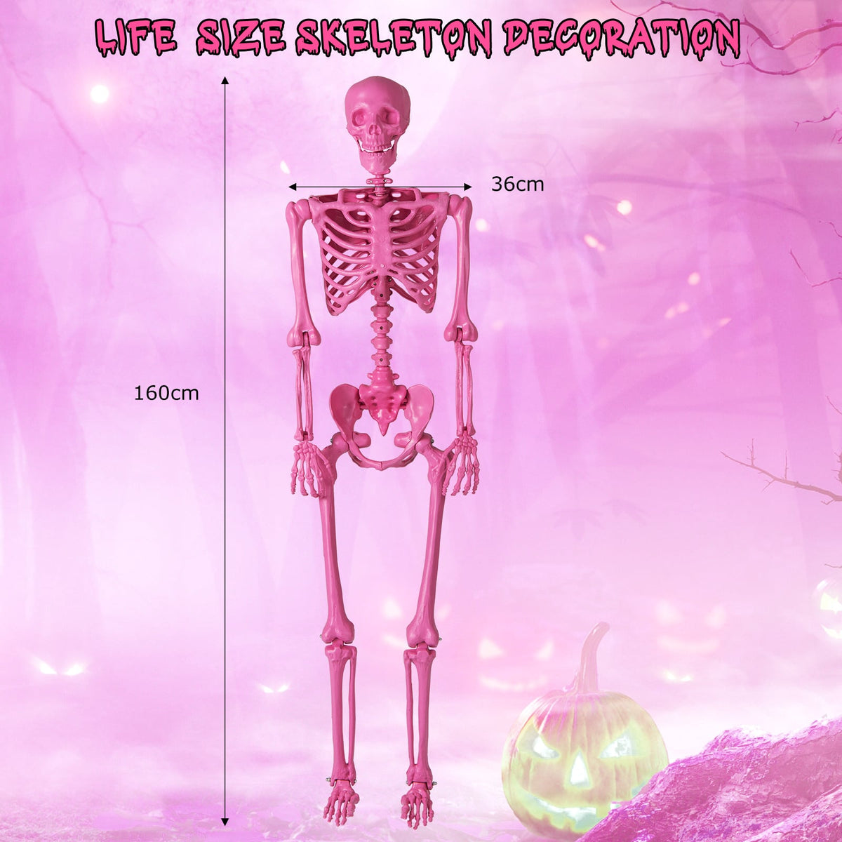 A pink skeleton decoration with height and width measurements shown