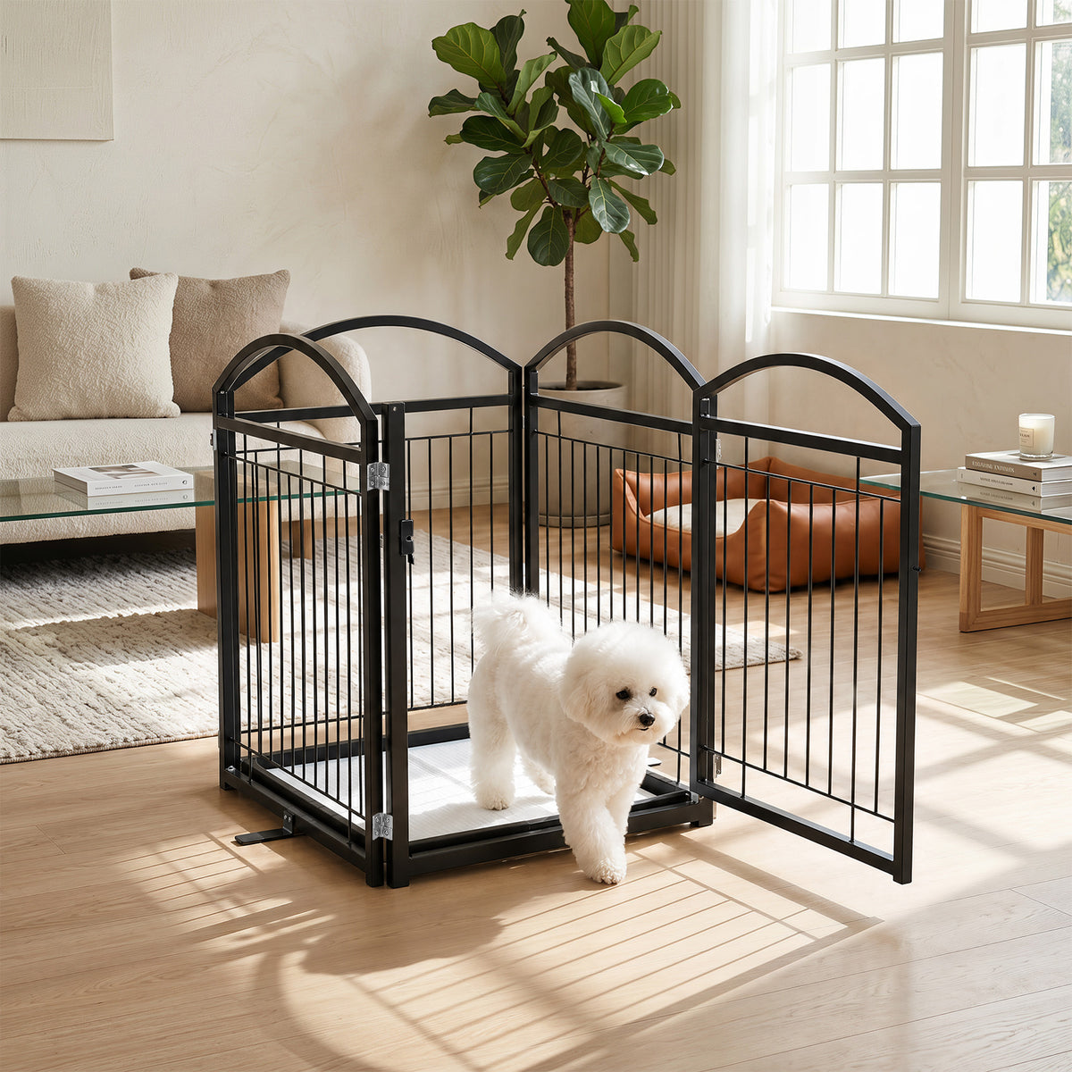 The pet gate arranged in a square shape in a living room with a small white dog walking through
