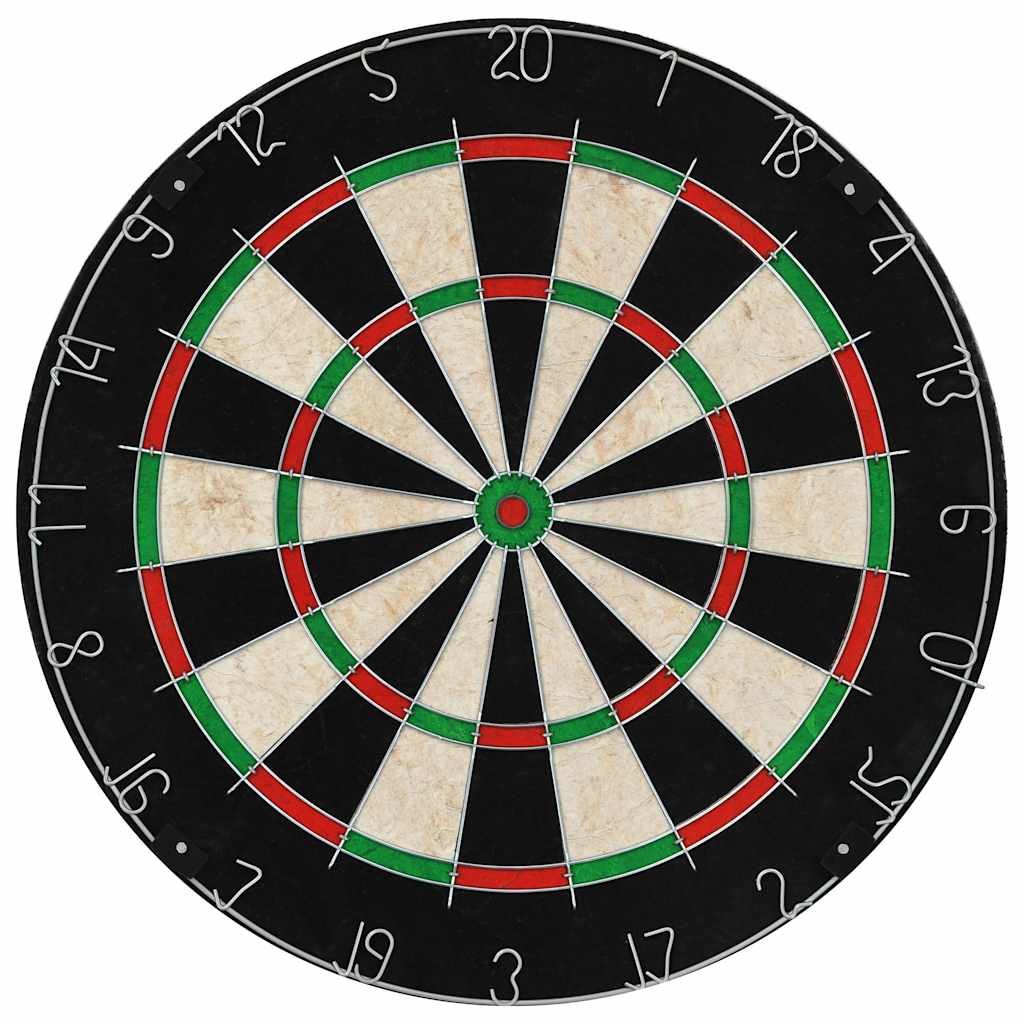 vidaXL Professional Dart Set with Dartboard Sisal Steel 2