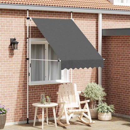 143687 vidaXL Manual Retractable Awning 150 cm Anthracite 1