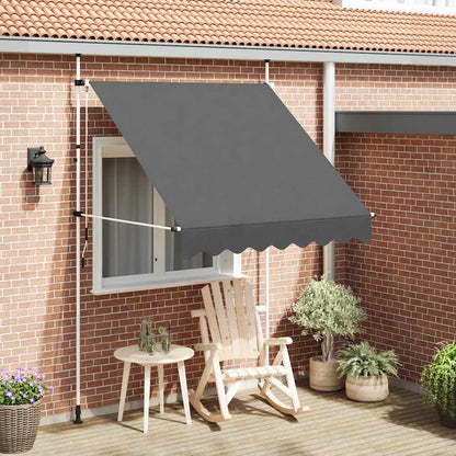 143688 vidaXL Manual Retractable Awning 200 cm Anthracite 1
