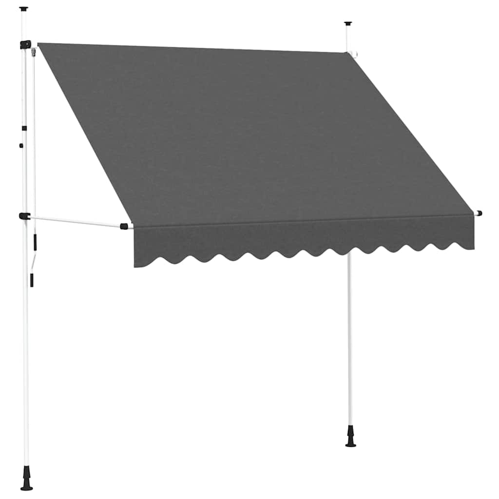 143689 vidaXL Manual Retractable Awning 250 cm Anthracite 2