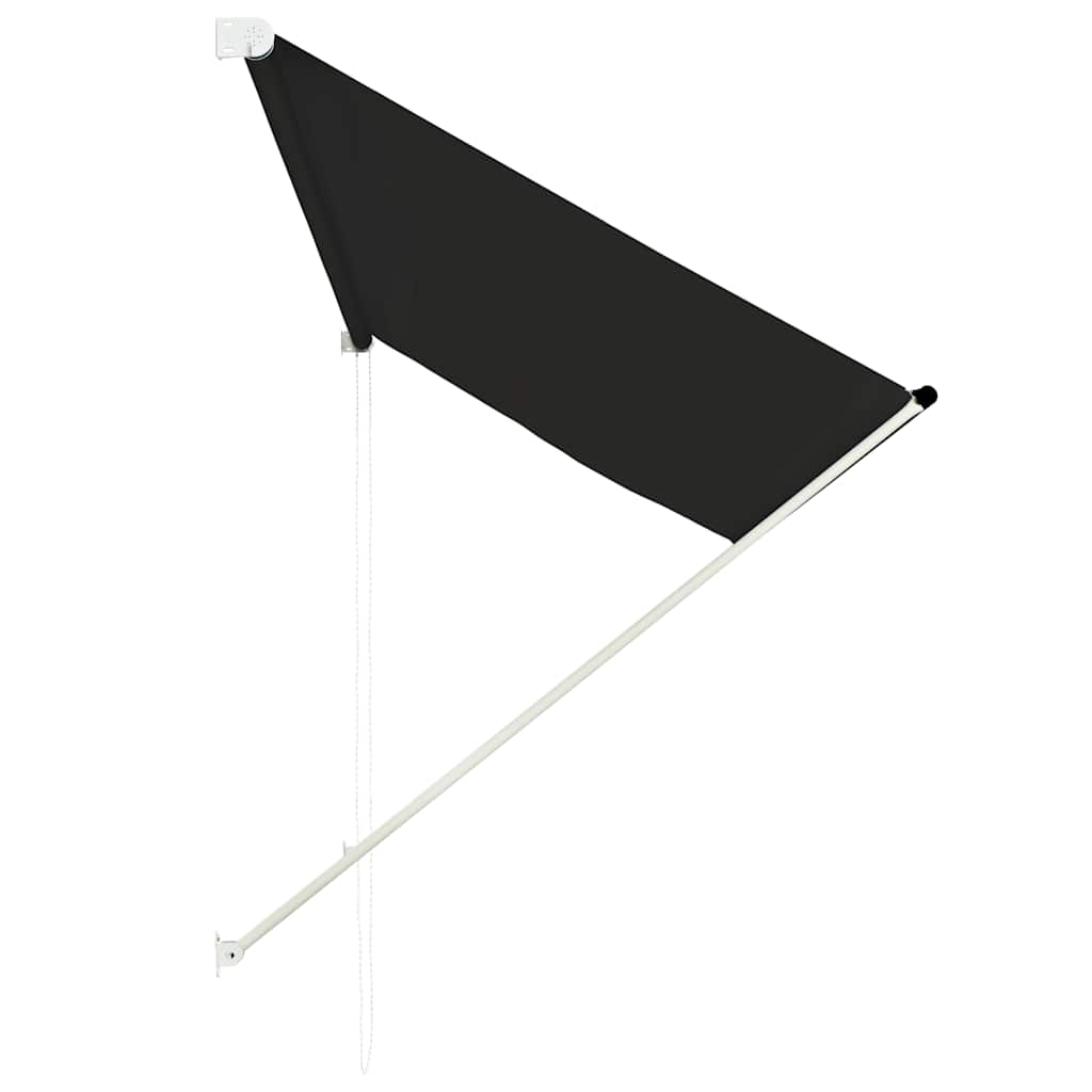 vidaXL Awning | Anthracite | Steel frame, polyester fabric with PA coating 3