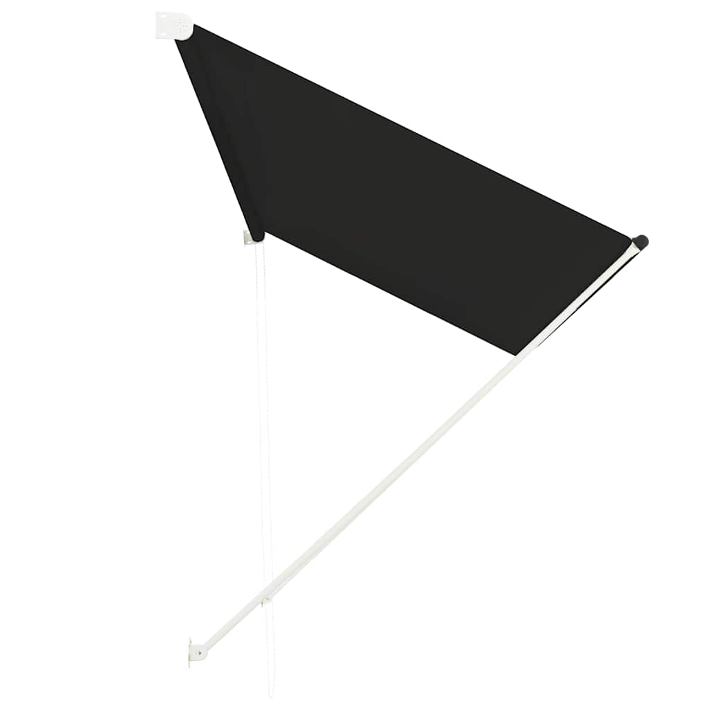 vidaXL Awning | Anthracite | Steel frame | 300x150 cm | Retractable | Awning 3