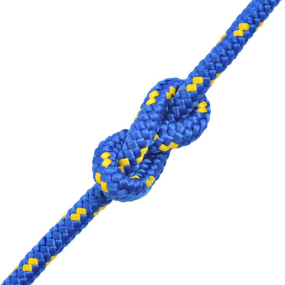 vidaXL Marine Rope Polypropylene 10 mm 250 m Blue 2