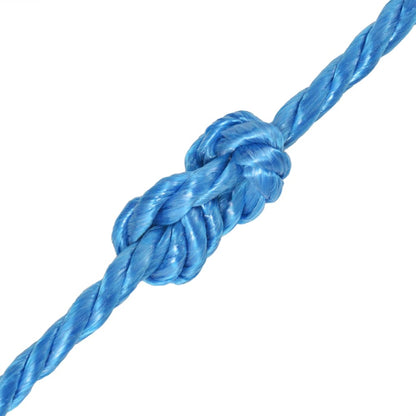 vidaXL Twisted Rope Polypropylene 12 mm 250 m Blue 2