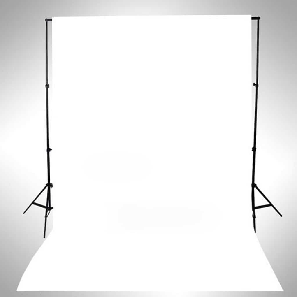 vidaXL Backdrop Cotton without Stand White 500x300 cm 4