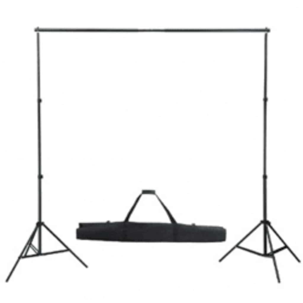 160066 vidaXL Backdrop Support System 300 x 300 cm Green 2
