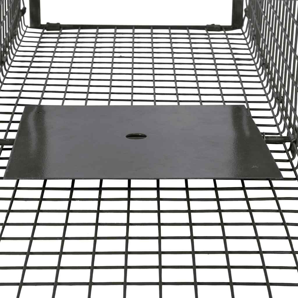 vidaXL Life Trap with 2 Doors 3