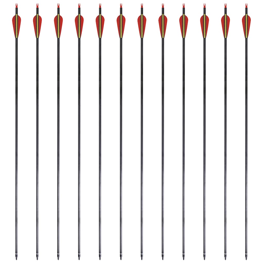 Standard Recurve Bow Arrows 30" 0.76 cm Carbon 12 pcs 4