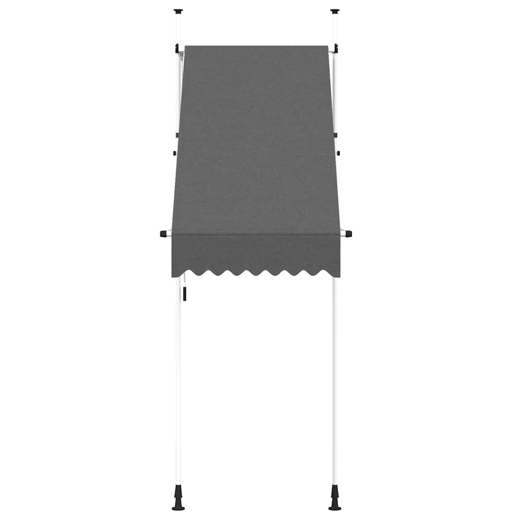 145832 vidaXL Manual Retractable Awning 100 cm Anthracite 3