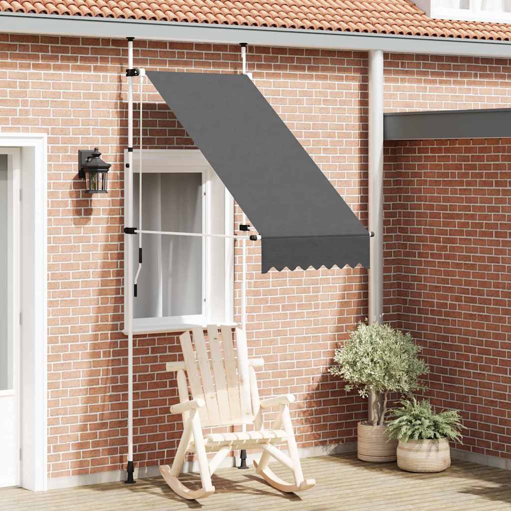 145832 vidaXL Manual Retractable Awning 100 cm Anthracite 1