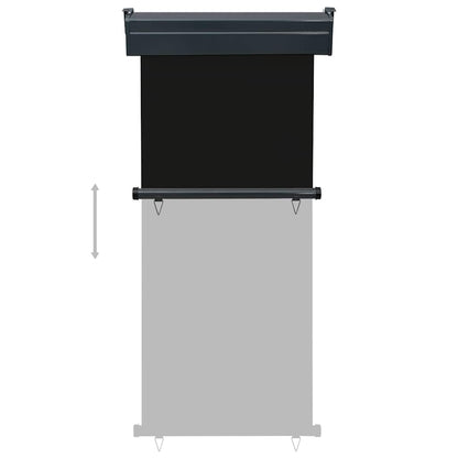 vidaXL Balcony Side Awning 85x250 cm Black 5