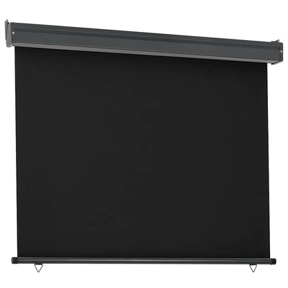 vidaXL Balcony Side Awning 125x250 cm Black 3