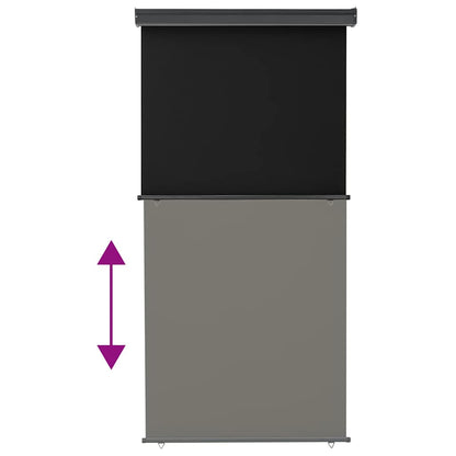 vidaXL Balcony Side Awning 125x250 cm Black 5