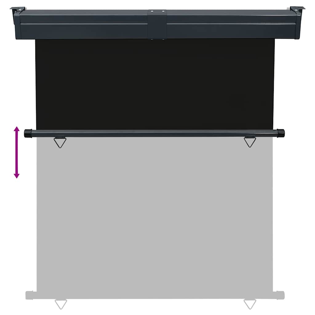 vidaXL Balcony Side Awning 165x250 cm Black 5