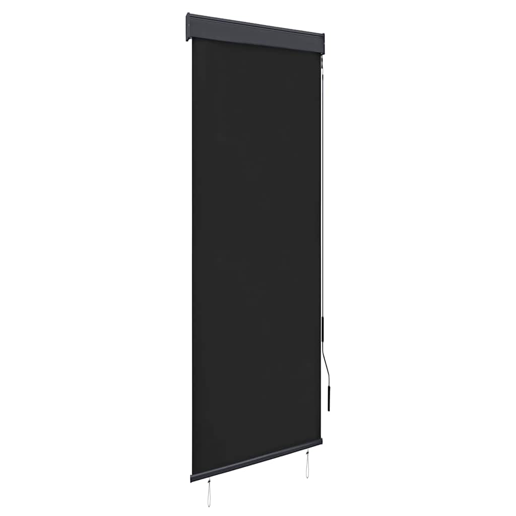 vidaXL Outdoor Roller Blind 60x250 cm Anthracite 1