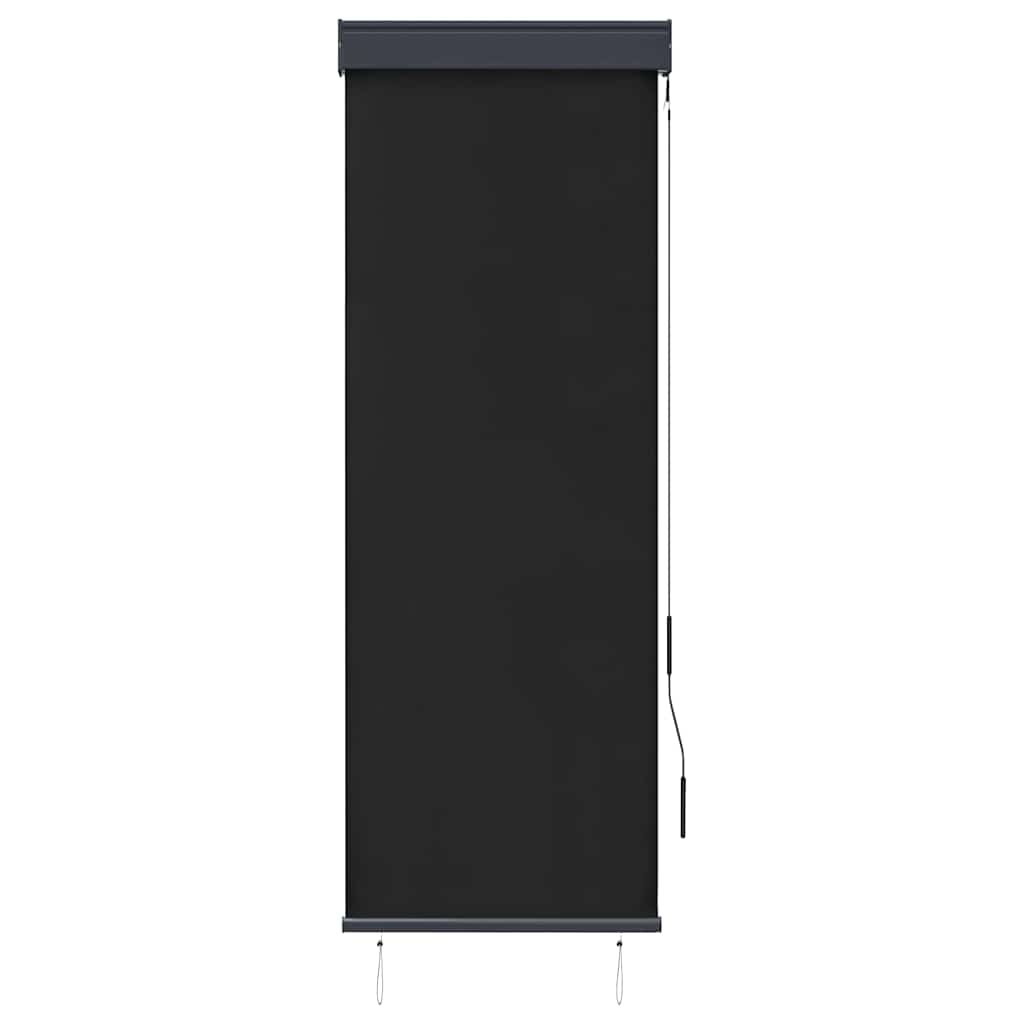 vidaXL Outdoor Roller Blind 60x250 cm Anthracite 2