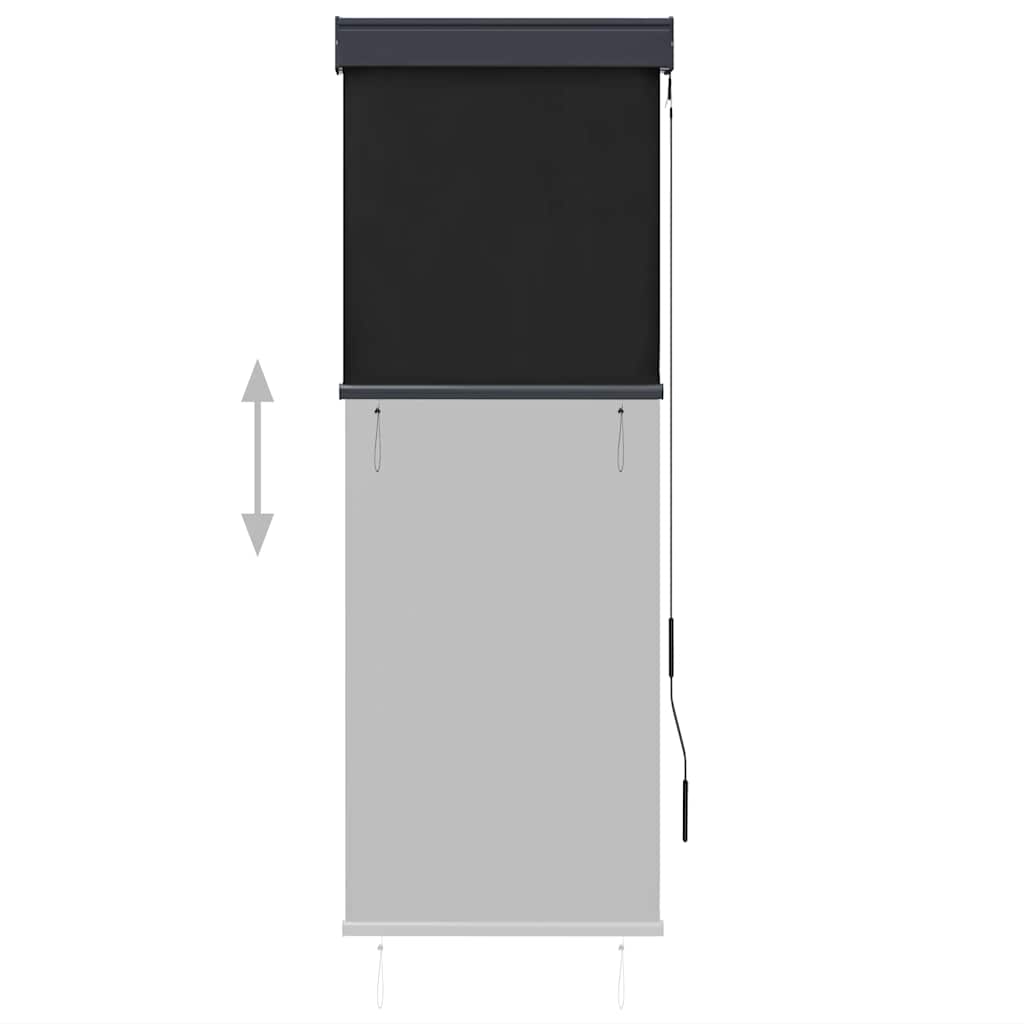 vidaXL Outdoor Roller Blind 60x250 cm Anthracite 3