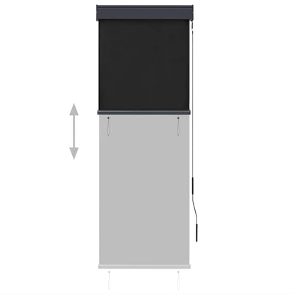 vidaXL Outdoor Roller Blind 60x250 cm Anthracite 3