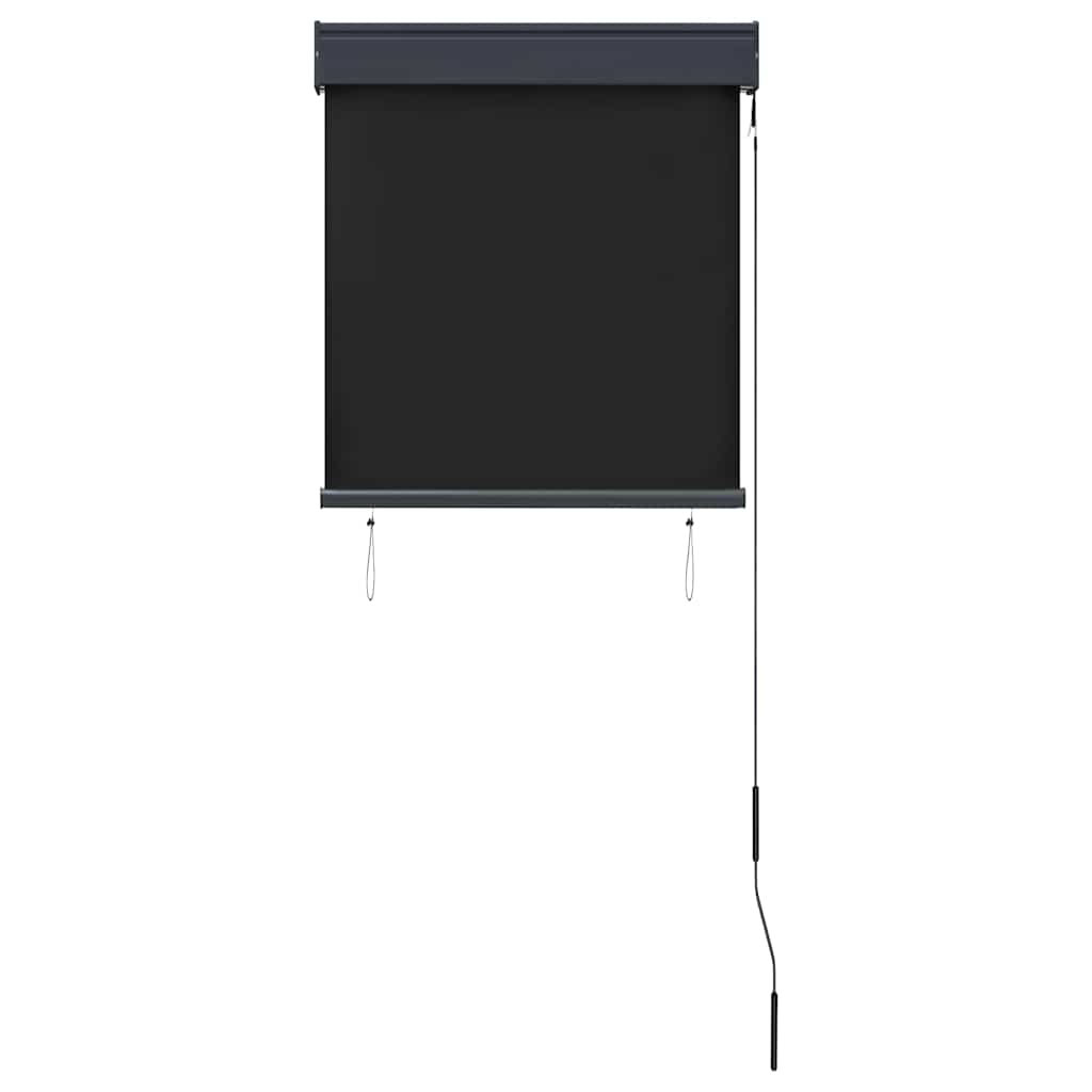 vidaXL Outdoor Roller Blind 60x250 cm Anthracite 4