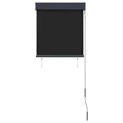 vidaXL Outdoor Roller Blind 60x250 cm Anthracite 4