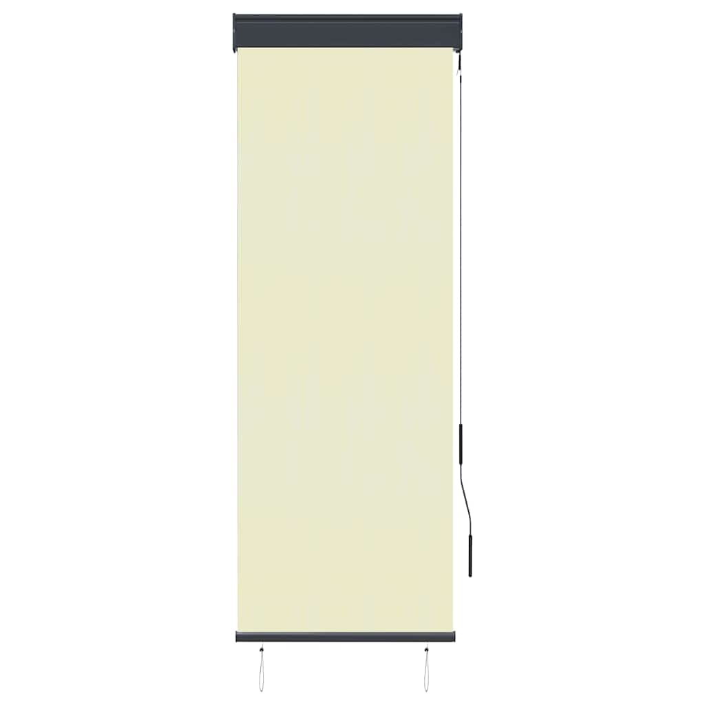 vidaXL Outdoor Roller Blind 60x250 cm Cream 2