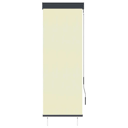 vidaXL Outdoor Roller Blind 60x250 cm Cream 2