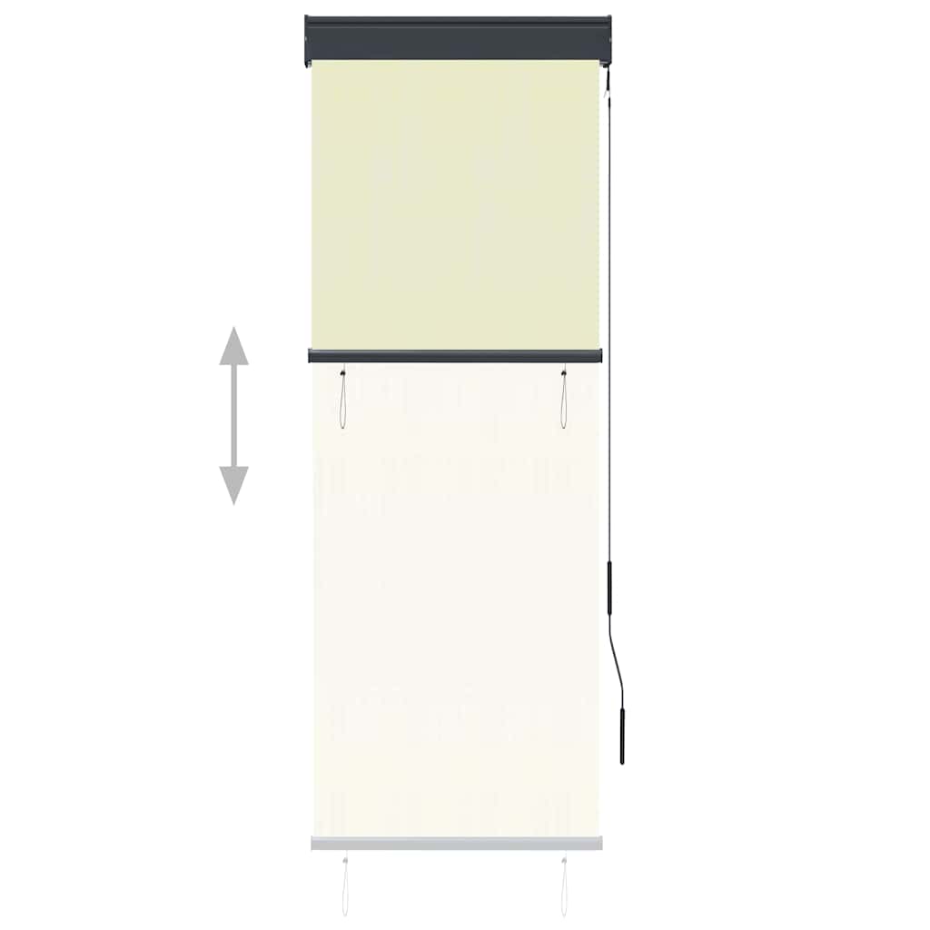 vidaXL Outdoor Roller Blind 60x250 cm Cream 3