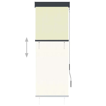 vidaXL Outdoor Roller Blind 60x250 cm Cream 3