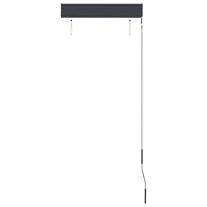 vidaXL Outdoor Roller Blind 60x250 cm Cream 5