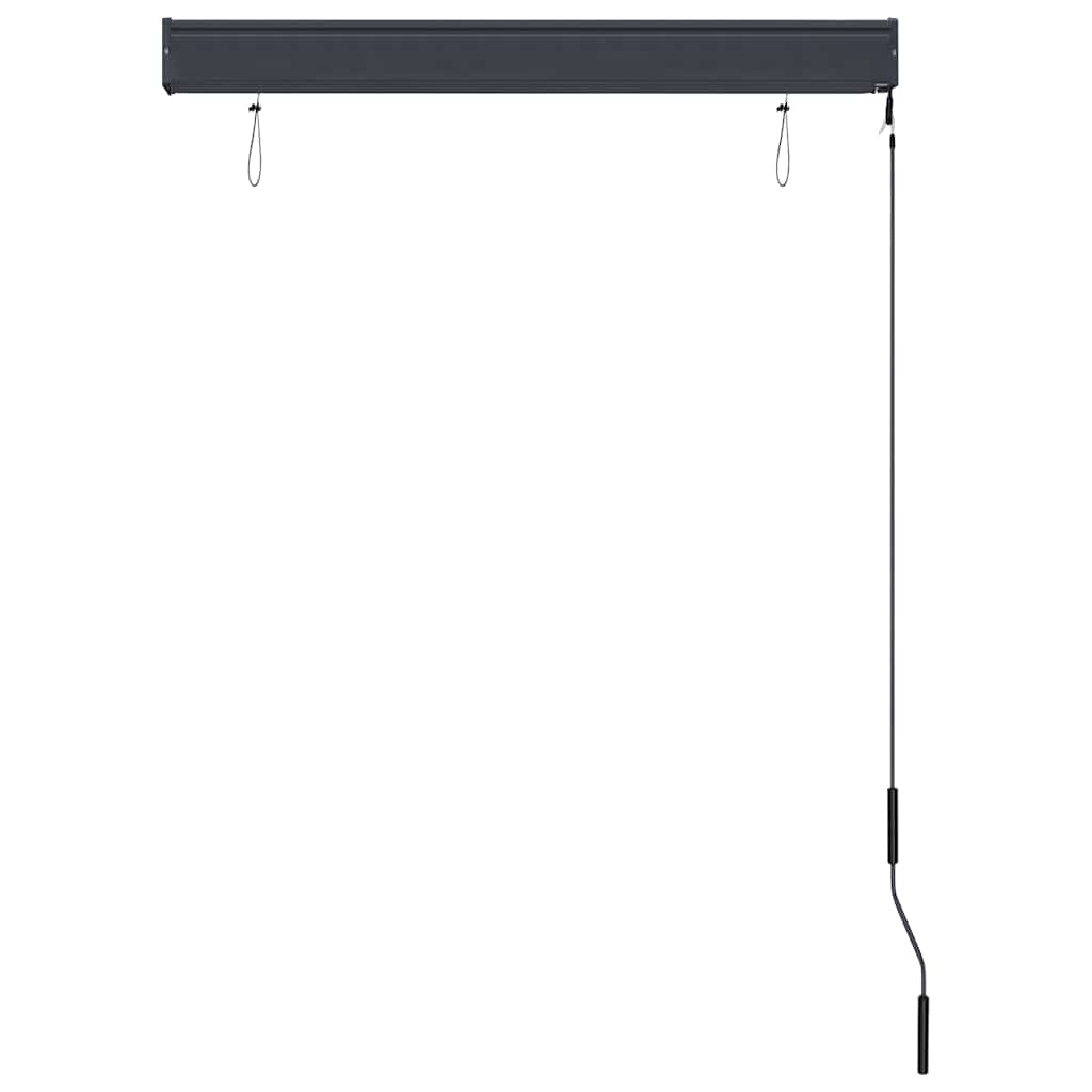 vidaXL Outdoor Roller Blind 100x250 cm Blue and White 6