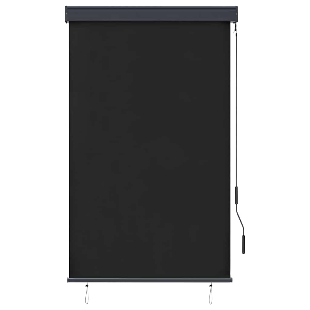 vidaXL Outdoor Roller Blind 100x250 cm Anthracite 2